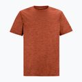 Tricou de trekking pentru bărbați REGATTA Fingal Edition rusty orange 5