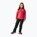 Pantaloni de trekking pentru copii REGATTA Highton Winter black 5
