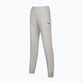 Pantaloni pentru femei Mizuno Sweat heather grey