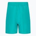 Pantaloni scurți de baie pentru copii Nike Essential 4" Volley verde NESSB866-339 2