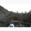 Cort Vango Nevis 200 18