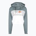 Hanorac de antrenament pentru femei Ellesse Allesandro verde