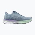 Încălțăminte de alergare pentru femei Mizuno Wave Skyrise 6 citadel/white/bay 9