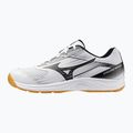 Încălțăminte de volei Mizuno Cyclone Speed 5 white/black/chamois 8