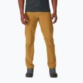 Pantaloni de trekking pentru bărbați Rab Incline maro deschis QFV-05