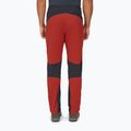 Pantaloni pentru bărbați Rab Torque Regular tuscan red 3