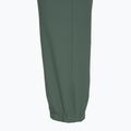Pantaloni de trekking pentru femei Rab Harpur sage 4