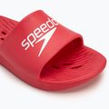 Papuci pentru bărbați Speedo Slide fed red 7