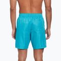 Șort de înot pentru bărbați Nike Swim Breaker 7" Volley dusty cactus 3