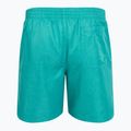 Șort de înot pentru bărbați Nike Swim Breaker 7" Volley dusty cactus 2
