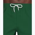 Șorturi de baie pentru bărbați Nike Lap Logo 5" Volley malachite 6