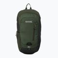 Rucsac de turism REGATTA Highton V2 20 l dkkhk/frlfcl