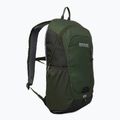 Rucsac de turism REGATTA Highton V2 20 l dkkhk/frlfcl 2