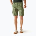 Pantaloni de trekking pentru bărbați REGATTA Ruwan fauna