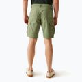 Pantaloni de trekking pentru bărbați REGATTA Ruwan fauna 3