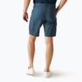 Pantaloni de trekking pentru bărbați REGATTA Ruwan midnight 3