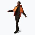 Geacă de puf pentru bărbați  REGATTA Hooded Dalent fox/red ochre 2