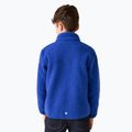 Bluză pentru copii REGATTA Junior Frankie Full Zip olympian blu 3