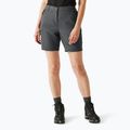 Pantaloni scurți de trekking pentru femei REGATTA Chaska III seal grey