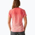 Tricou pentru femei REGATTA Laxley II peach bloom ombre 3