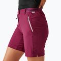 Pantaloni scurți de trekking pentru femei  REGATTA Mountain II beaujolais 4