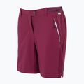 Pantaloni scurți de trekking pentru femei  REGATTA Mountain II beaujolais 7