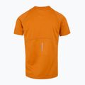 Tricou pentru bărbați  REGATTA Virda IV fox 6