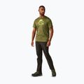 Tricou de trekking pentru bărbați REGATTA Fingal IX nephrite green marl 2