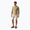 Tricou de trekking pentru bărbați  REGATTA Breezed V golden sand 2