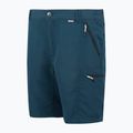 Pantaloni scurți de trekking pentru bărbați REGATTA Leesville III moonlight denim 8