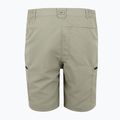Pantaloni scurți de trekking pentru bărbați REGATTA Leesville III golden sand 6