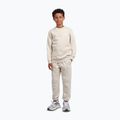 Bluză pentru copii New Balance Brush Back Small Logo Crew timberwolf 2