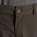 Pantaloni de trekking pentru bărbați Craghoppers NosiLife Adventure III woodland green 4