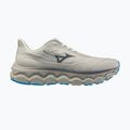 Încălțăminte de alergare pentru bărbați Mizuno Wave Horizon 9 foggy dew/dark slate/blue jewel