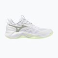 Încălțăminte de volei pentru femei Mizuno Wave Momentum Pro white/aqua gray/ambrosia