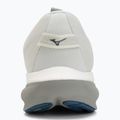 Încălțăminte de alergare pentru bărbați Mizuno Wave Rider 30 foggy dew/dark slate/white 6