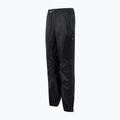 Pantaloni de trekking pentru bărbați REGATTA Active black 7