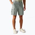 Pantaloni de trekking pentru bărbați REGATTA Shorebay II storm grey
