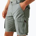 Pantaloni de trekking pentru bărbați REGATTA Shorebay II storm grey 4