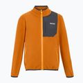Bluză pentru copii REGATTA Frankie Full Zip fox 5