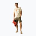 Tricou pentru bărbați Regatta ClineIX white stone wilderness 2