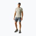 Tricou de trekking pentru bărbați REGATTA Mindoi Anti Insect abbeystone 2