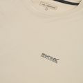 Tricou de trekking pentru bărbați REGATTA Mindoi Anti Insect abbeystone 7