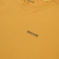 Tricou de trekking pentru bărbați REGATTA Mindoi Anti Insect wood brown 3
