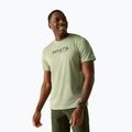 Tricou de trekking pentru bărbați REGATTA Fingal light sage