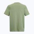 Tricou de trekking pentru bărbați REGATTA Fingal light sage 6