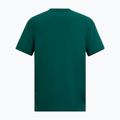 Tricou de trekking pentru bărbați REGATTA Fingal mediterranea 6