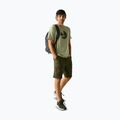 Tricou de trekking pentru bărbați REGATTA Fingal Stretch light sage 2