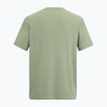 Tricou de trekking pentru bărbați REGATTA Fingal Stretch light sage 6