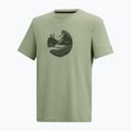 Tricou de trekking pentru bărbați REGATTA Fingal Stretch light sage 7